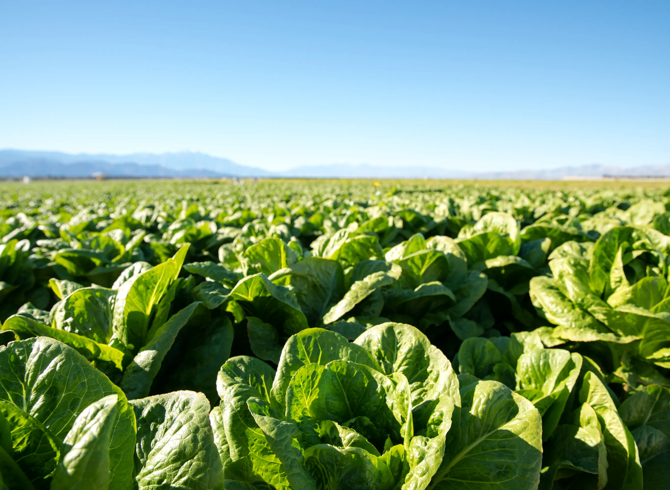 ユニメイト通商株式会社