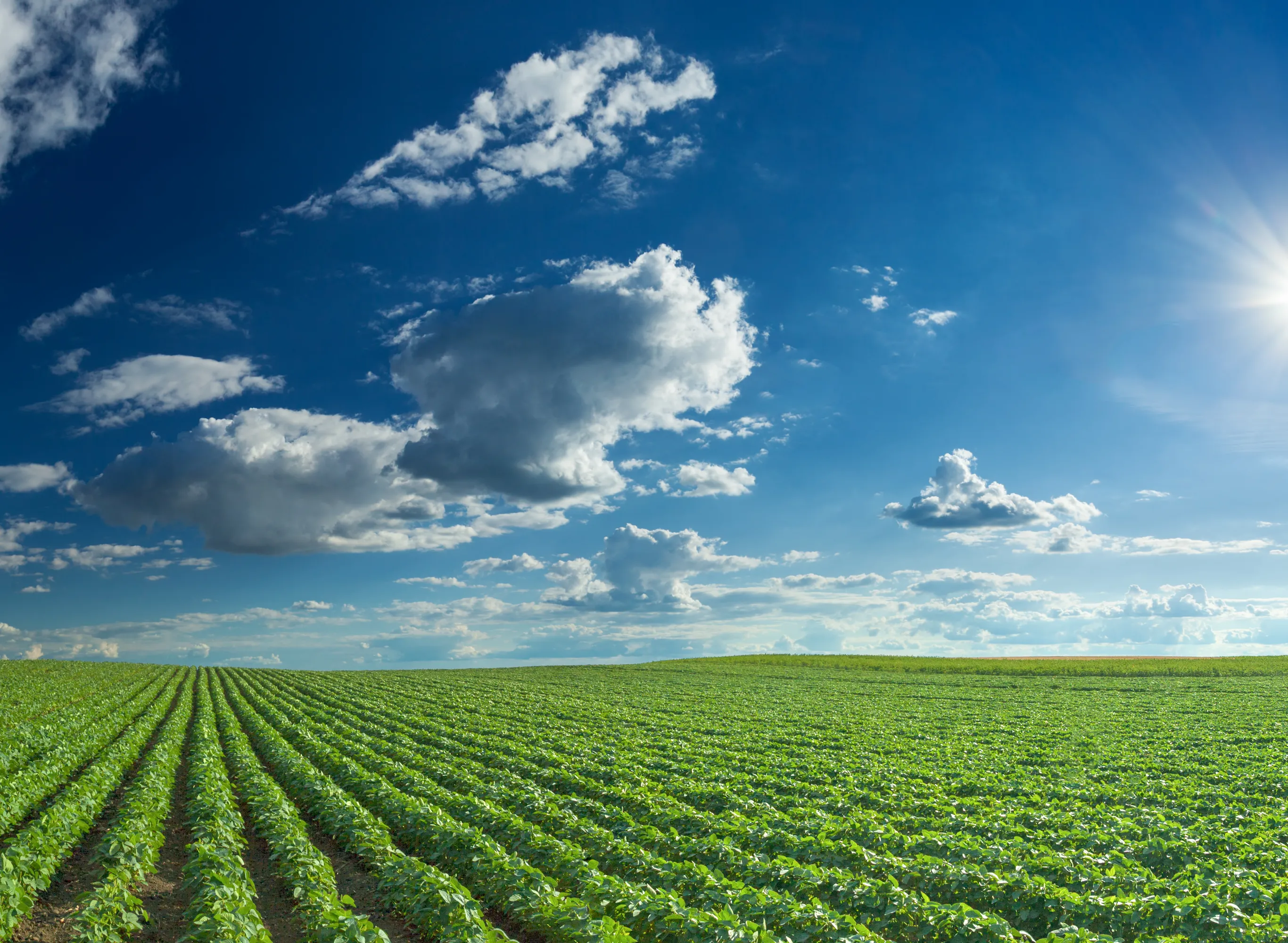 ユニメイト通商株式会社